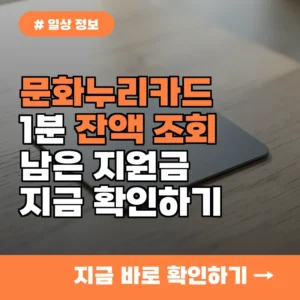 온라인으로 문화누리카드 잔액 조회하고 남은 금액 1분 만에 확인하는 꿀팁