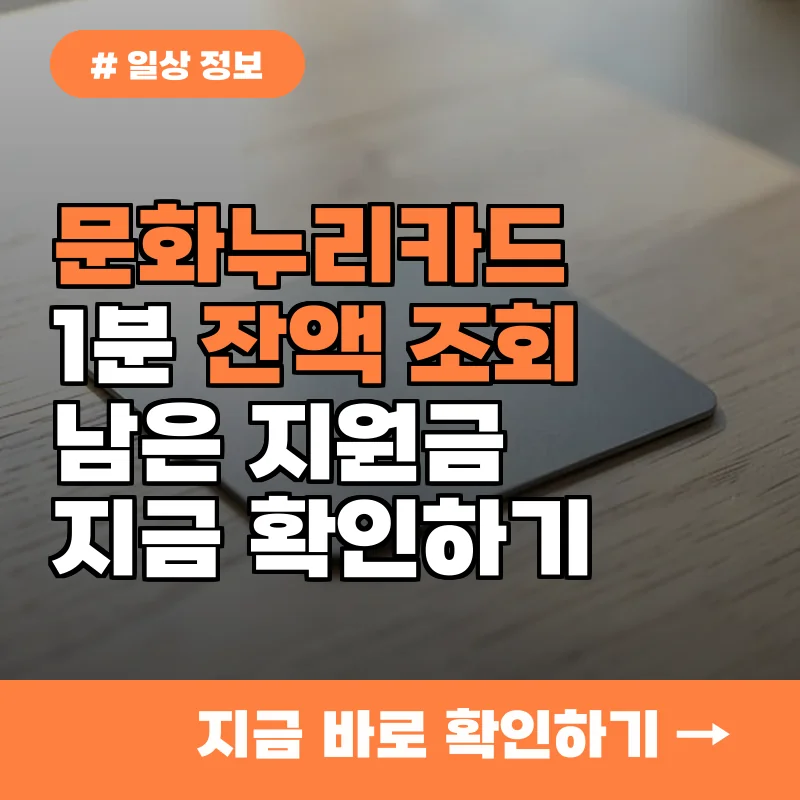 온라인으로 문화누리카드 잔액 조회하고 남은 금액 1분 만에 확인하는 꿀팁