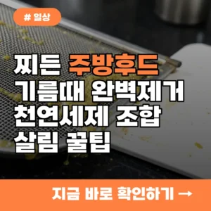 주방 후드 기름때 제거 힘든 분들 주목, 찌든 때 녹이는 식재료 조합 4가지
