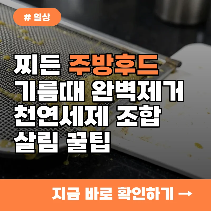 주방 후드 기름때 제거 힘든 분들 주목, 찌든 때 녹이는 식재료 조합 4가지