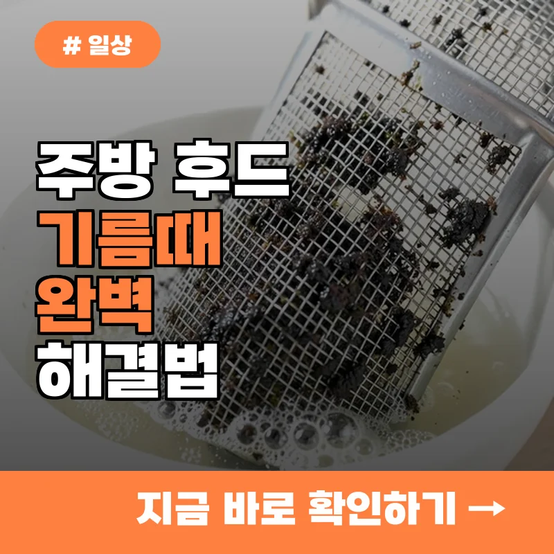 주방 후드 기름때 제거제 없이 집에 있는 이 재료면 찌든 때 완벽 해결