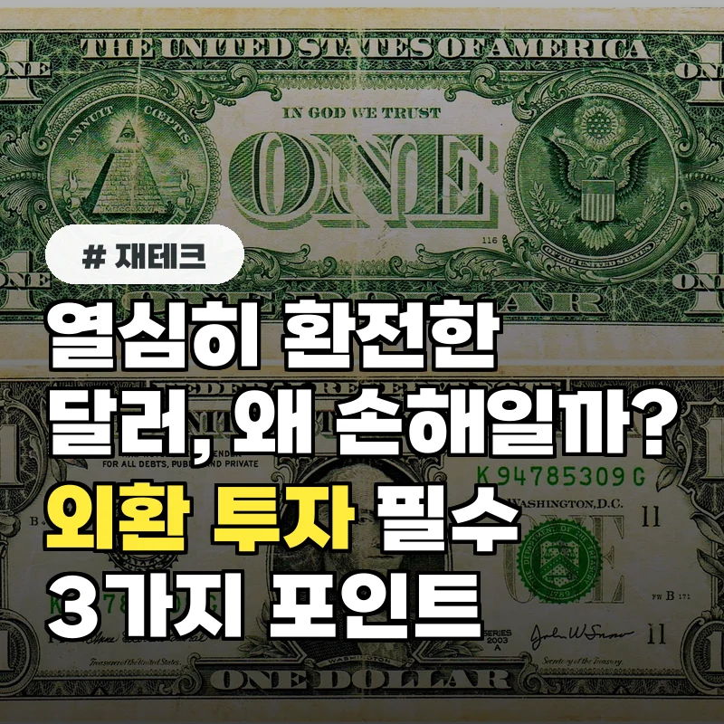 열심히 환전했는데 왜 손해일까? 외환 투자 시 반드시 알아야 할 3가지