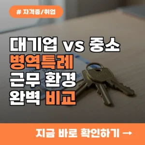 중소기업 대비 대기업 병역특례 혜택과 근무 환경 비교 분석