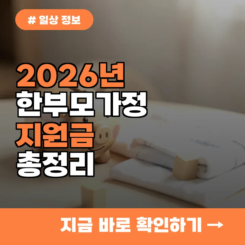 1인당 최대 혜택 얼마일까? 2026년 한부모가정 지원금 바로 조회