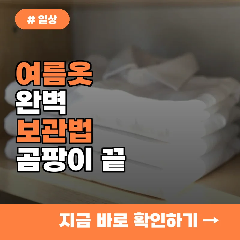 10명 중 8명이 실수하는 여름옷 보관법, 곰팡이 없이 정리하기