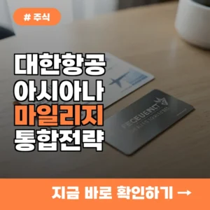 대한항공 아시아나 통합 확정, 흩어진 마일리지 모아 비즈니스석 예매하는 전략