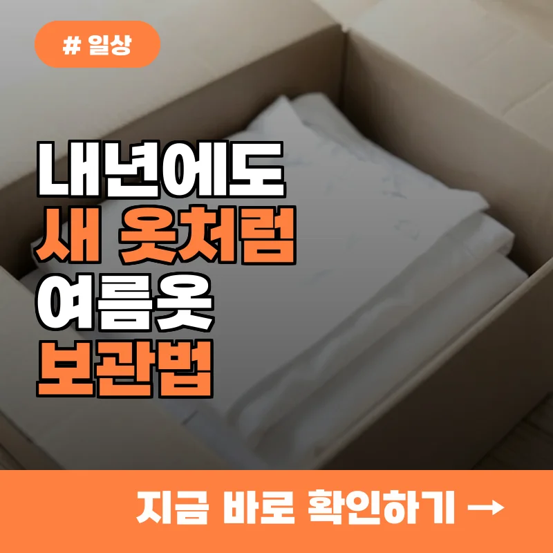 내년에도 새 옷처럼! 여름옷 세탁 후 완벽 보관법 3가지