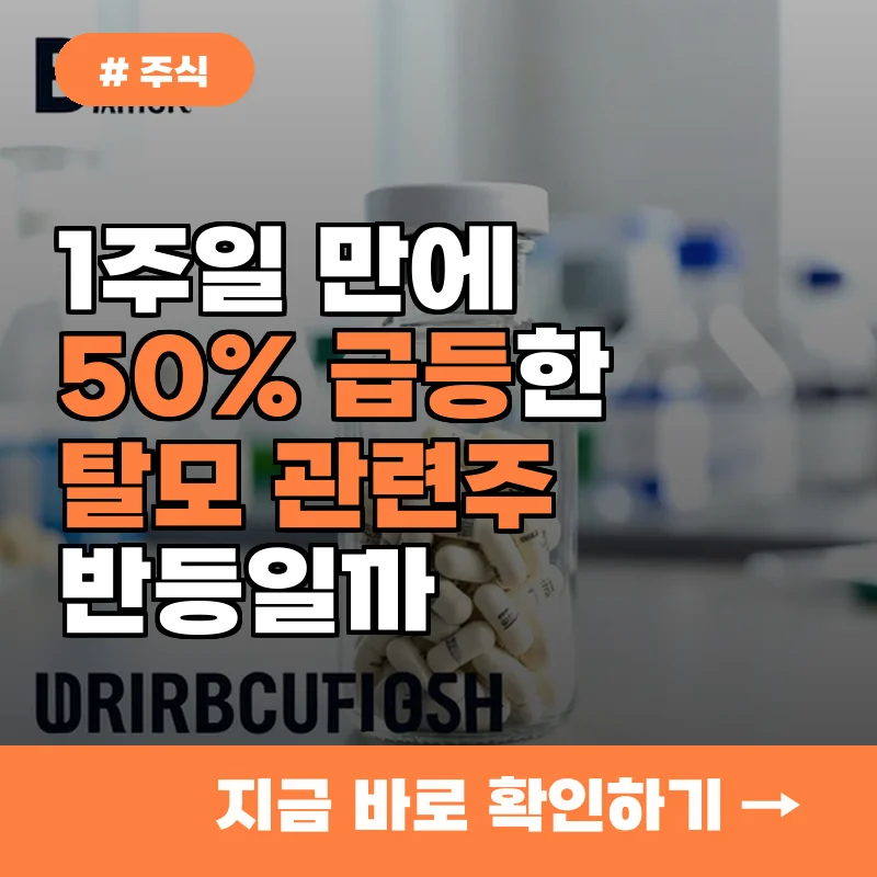 1주일 만에 50% 상승한 탈모주, 반등일까 마지막 거품일까?