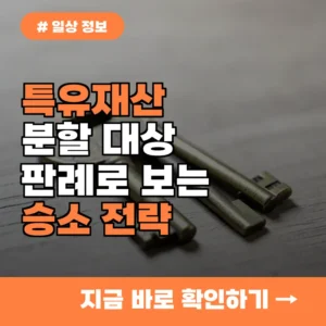 특유재산도 분할 대상일까? 판례로 보는 재산 분할 승소 전략