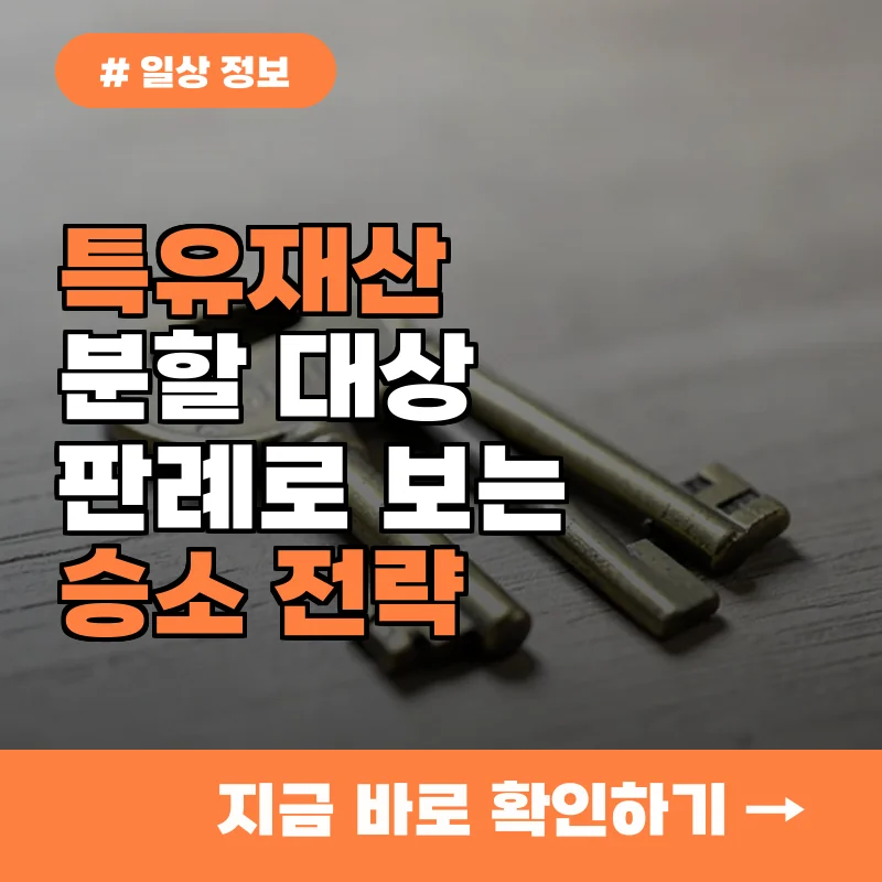 특유재산도 분할 대상일까? 판례로 보는 재산 분할 승소 전략