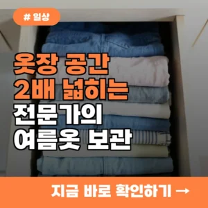 옷장 공간 2배 넓히는 여름옷 보관법, 전문가가 추천하는 꿀팁