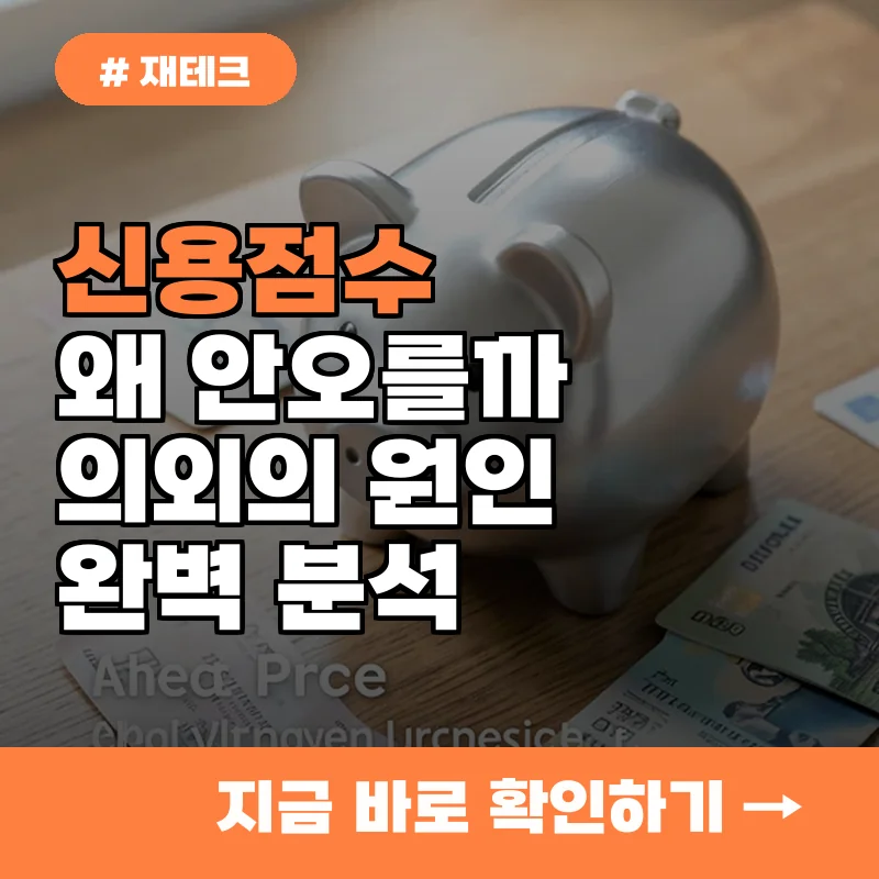 열심히 관리했는데 왜 그대로일까? 신용점수 안 오르는 의외의 원인
