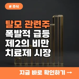 최근 탈모주 급등, 제2의 비만 치료제 열풍 타는 이유 3가지