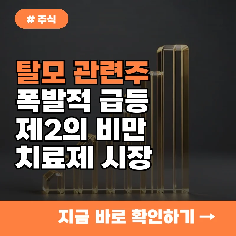 최근 탈모주 급등, 제2의 비만 치료제 열풍 타는 이유 3가지