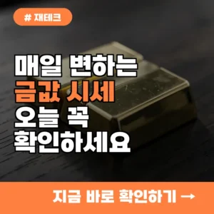 금값 시세 매일 확인해야 하는 이유, 놓치면 1돈당 5만 원 손해 보는 결정적 차이