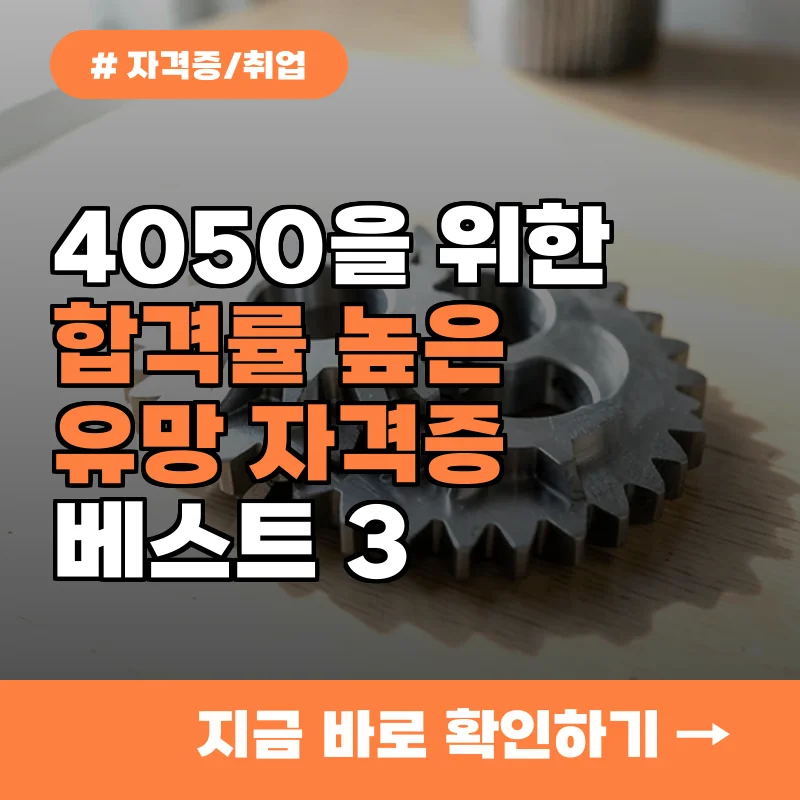 40대 50대 자격증 취득? 의외로 중장년 합격률 높은 분야 3가지