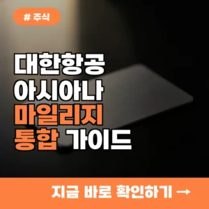 대한항공 아시아나 통합 시 마일리지 1대1 전환 가능할까? 현명한 대처법