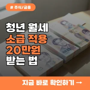 혹시 나도? 청년 월세 지원금 대상자라면 꼭 알아야 할 소급 적용의 비밀