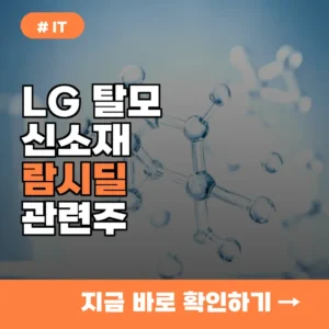 10명 중 8명이 모르는 LG 탈모 신소재 관련주와 시장의 변화 전망
