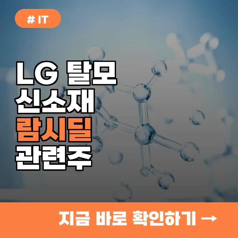 10명 중 8명이 모르는 LG 탈모 신소재 관련주와 시장의 변화 전망