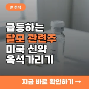 미국발 탈모 신약 경쟁 시작? 올해 주목해야 할 탈모주 5종목