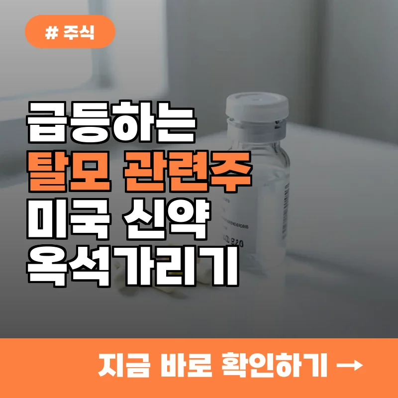 미국발 탈모 신약 경쟁 시작? 올해 주목해야 할 탈모주 5종목