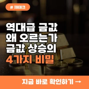 지금 금값 시세가 왜 오를까? 알고 보면 무서운 금값 상승의 진짜 원인 4가지