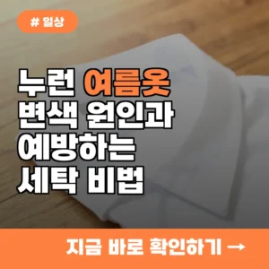여름옷 누렇게 변색되는 이유? 세탁 전 ‘이 과정’ 빠뜨리면 후회