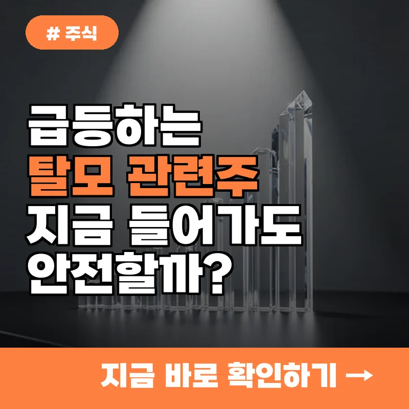 열심히 오른 탈모주, 혹시 나만 뒤처질까 봐 불안하신가요?
