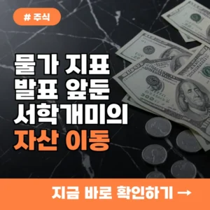 9월 미국 CPI PPI 발표 앞두고 서학개미들이 초단기채로 몰리는 이유 3가지