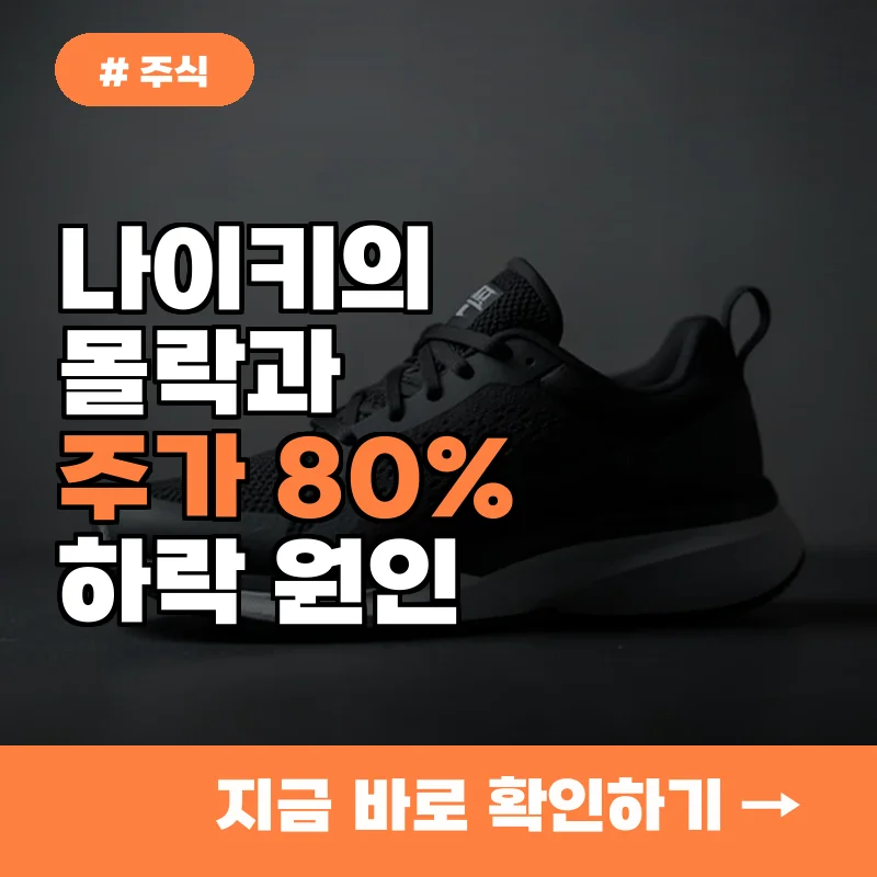 우량주 나이키의 추락...주가 80% 하락에도 배울 점은 무엇일까?
